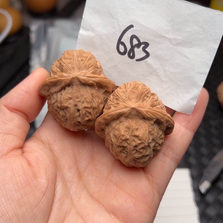 核桃40尺寸南瓜墩