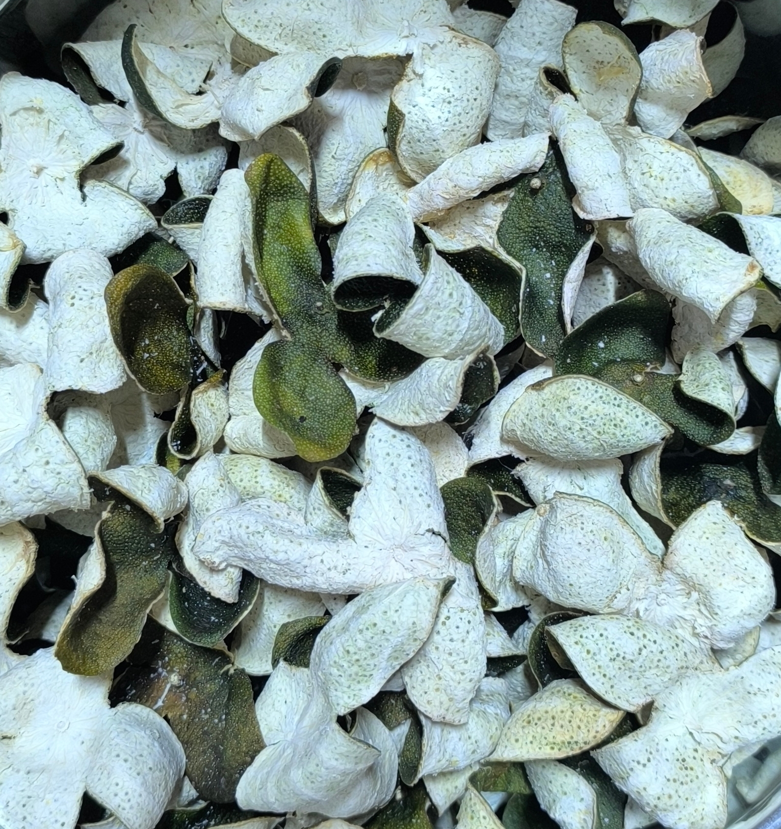 2025年 双水小油青（青皮） 