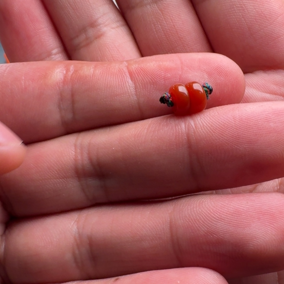 南红玛瑙隔片未镶嵌M****H