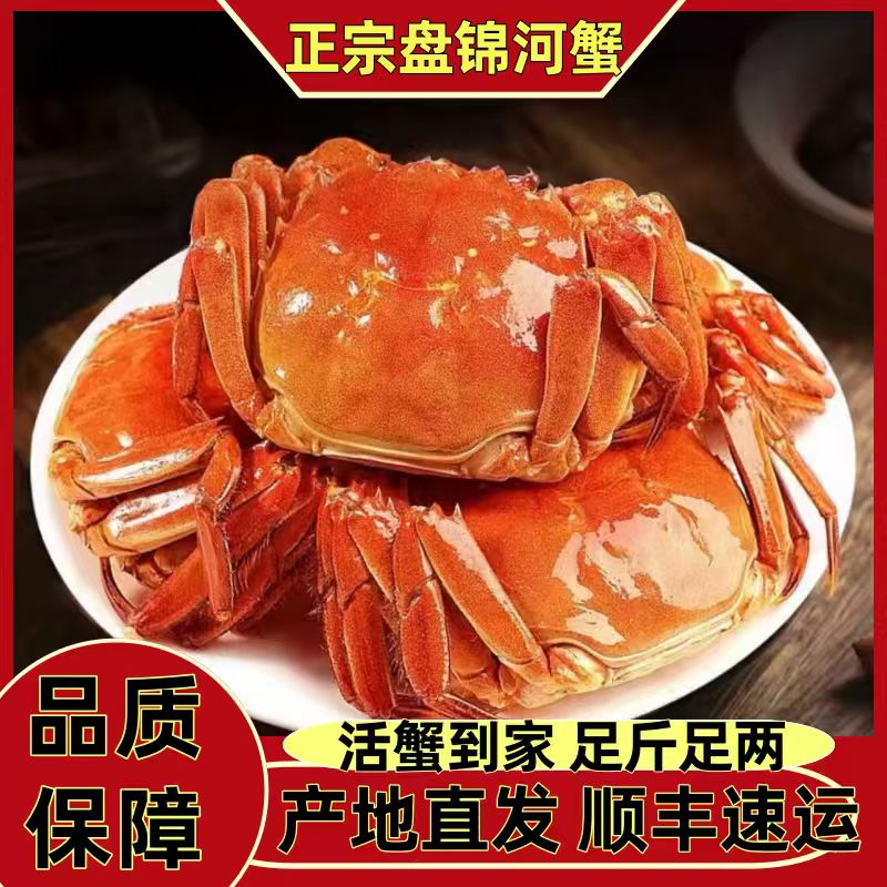 S【活蟹】盘锦河蟹母蟹1.6-1.3两*16只 顺丰包邮产地直发死蟹包赔