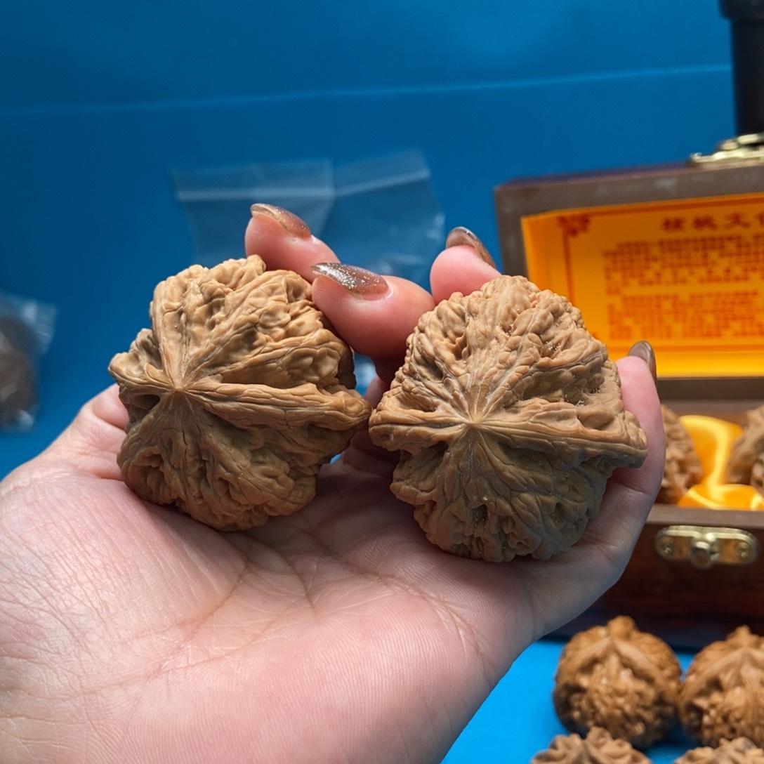 把件文玩核桃超粗筋