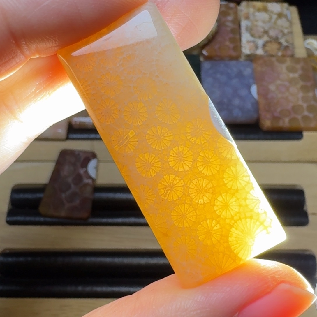 硅化玉透透的大小蕾丝未镶嵌