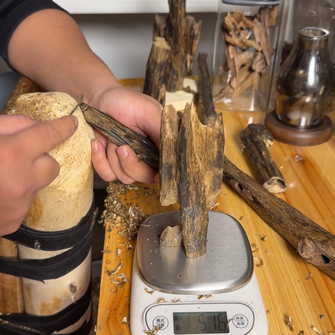 沉香白奇虫漏香51克