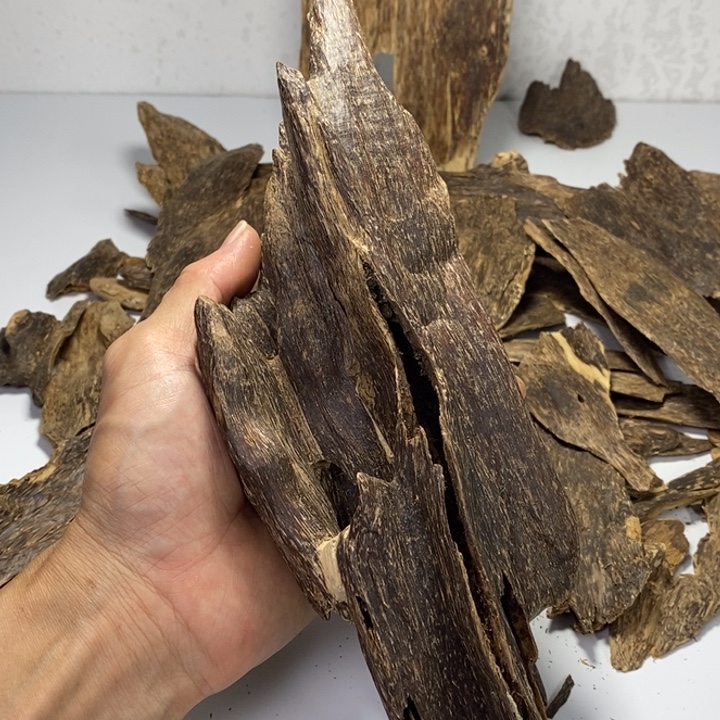 木国香高油脂全品相虫漏99克