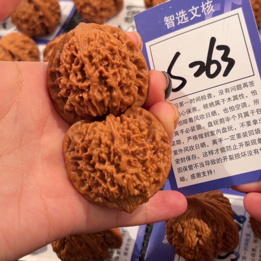 核桃S263号满天星42尺