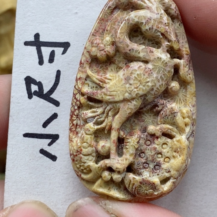 颈饰未镶嵌硅化珊瑚（珊瑚玉）