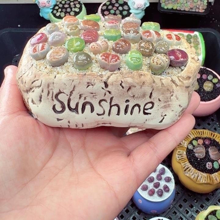 323零下地区记得拍保温箱满18包邮