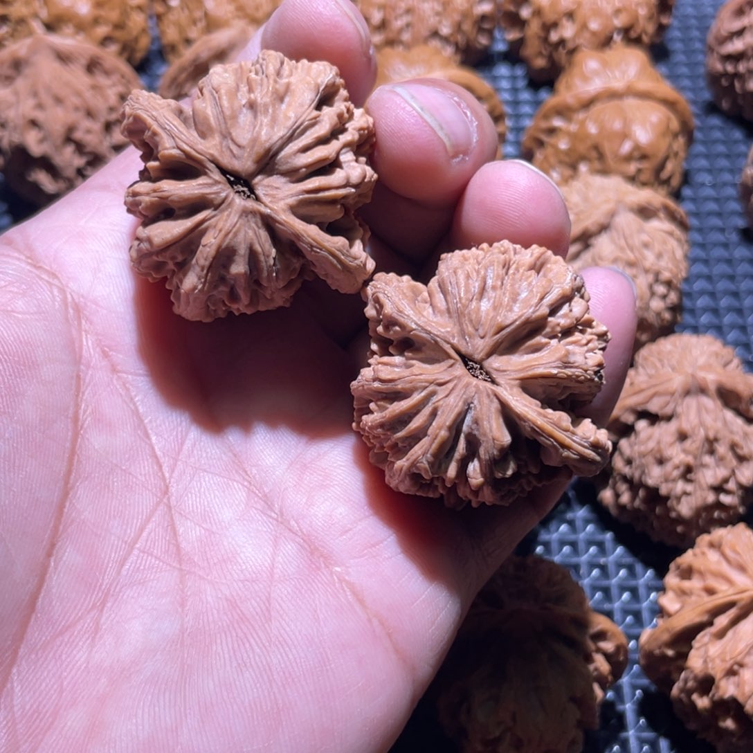 布***事核桃41全品虎头狮子头