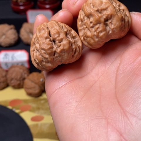 文玩核桃蛤膜头尺36