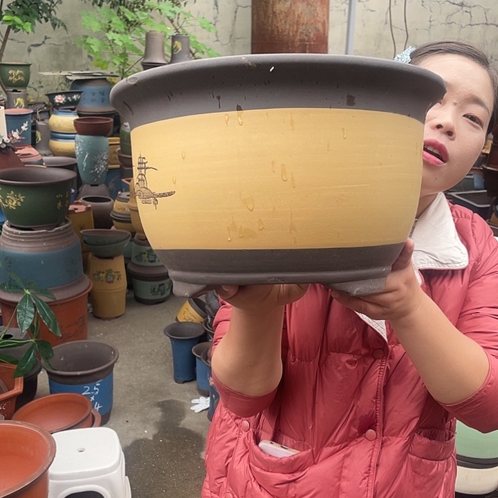 003花盆紫砂花盆紫砂花盆