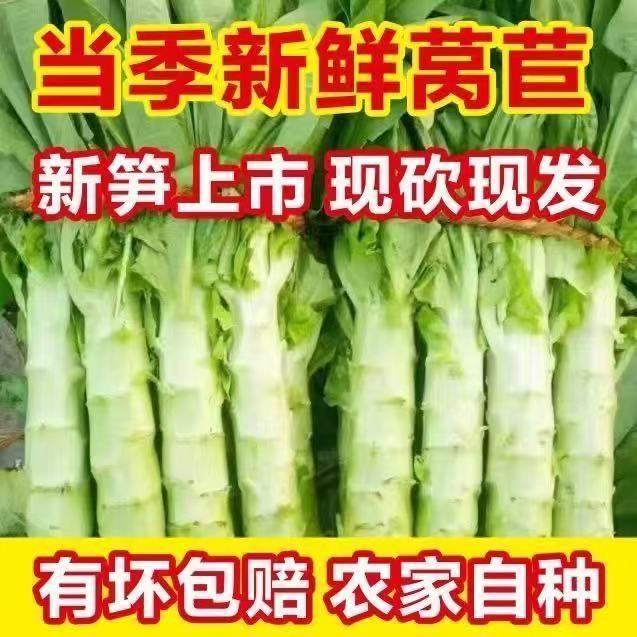 [助农福利]河南农家自种现砍现发莴苣新鲜蔬菜农家自种绿心莴笋
