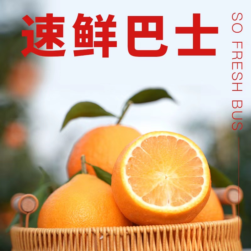 速鲜巴士宁波象山晓塘第一颗红美人原产区甄选果中精品红美人