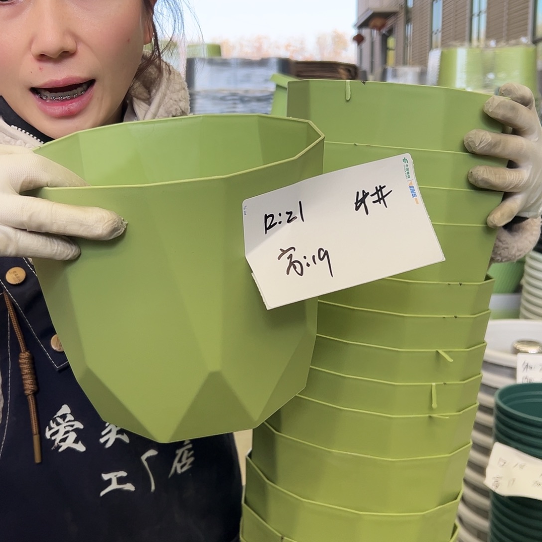 瑕疵雅典盆4#果绿6个无托