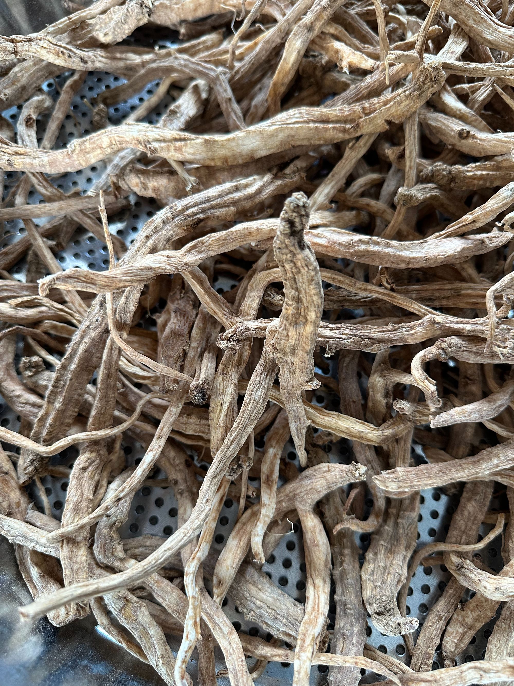 晒干的粤北连山土党参可煲汤泡酒