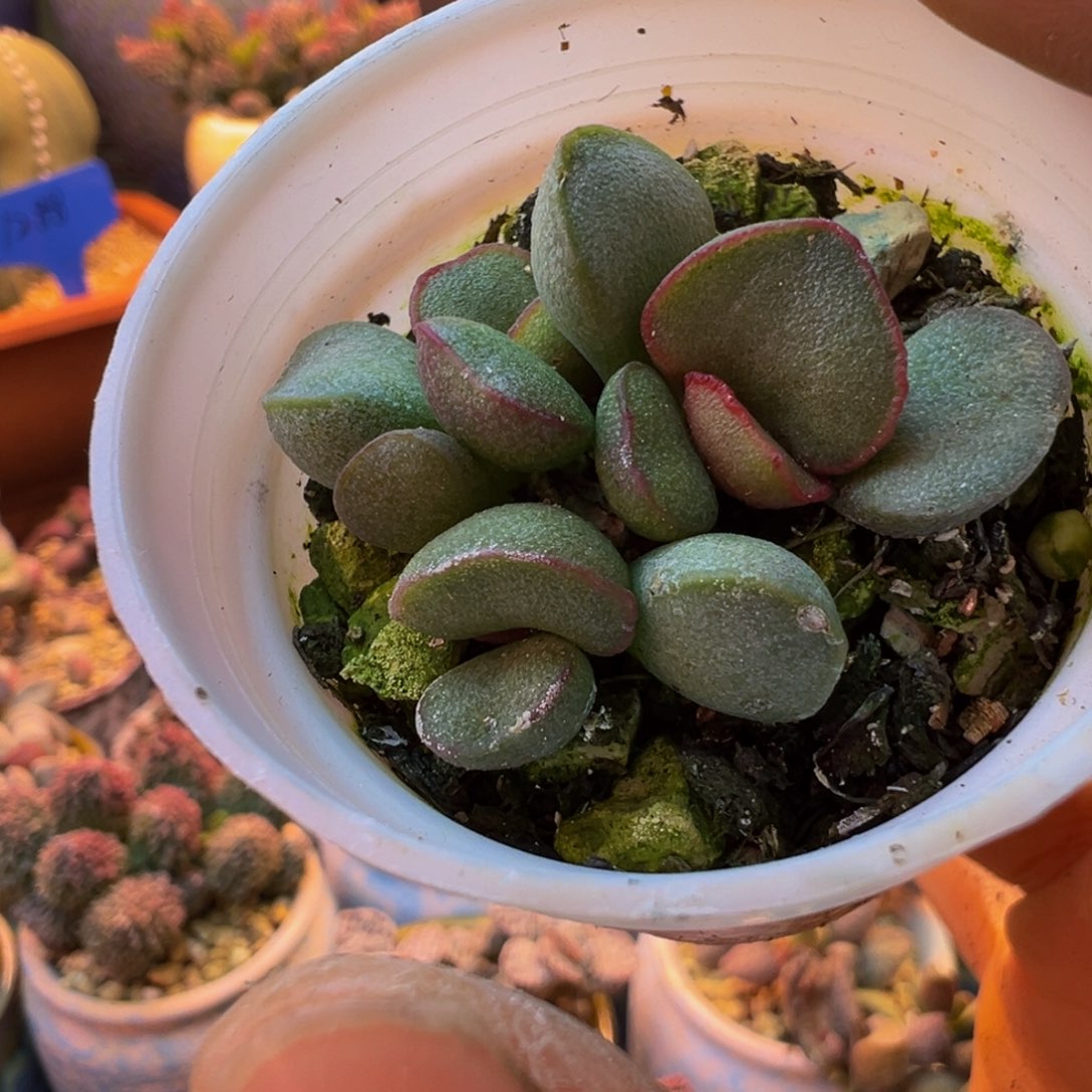 8***5我们都1点半才下班呢啊