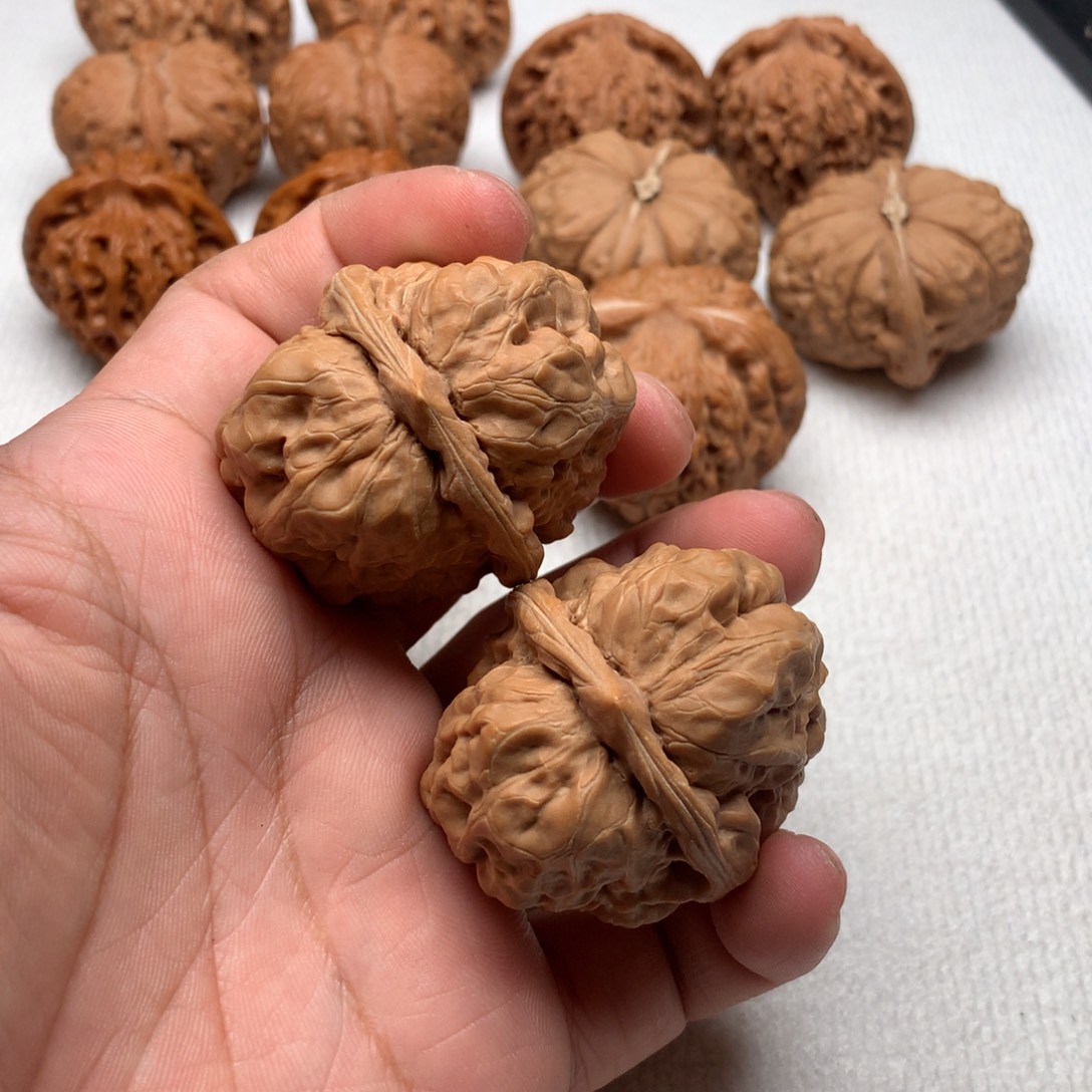 核桃40尺小蛤蟆头