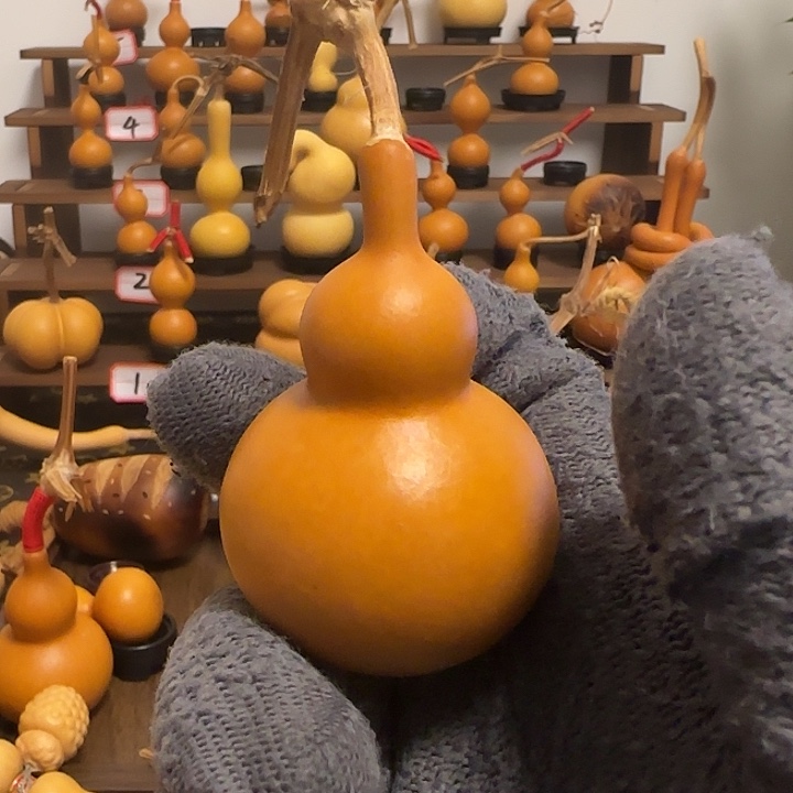 杨***真葫芦222222222222222