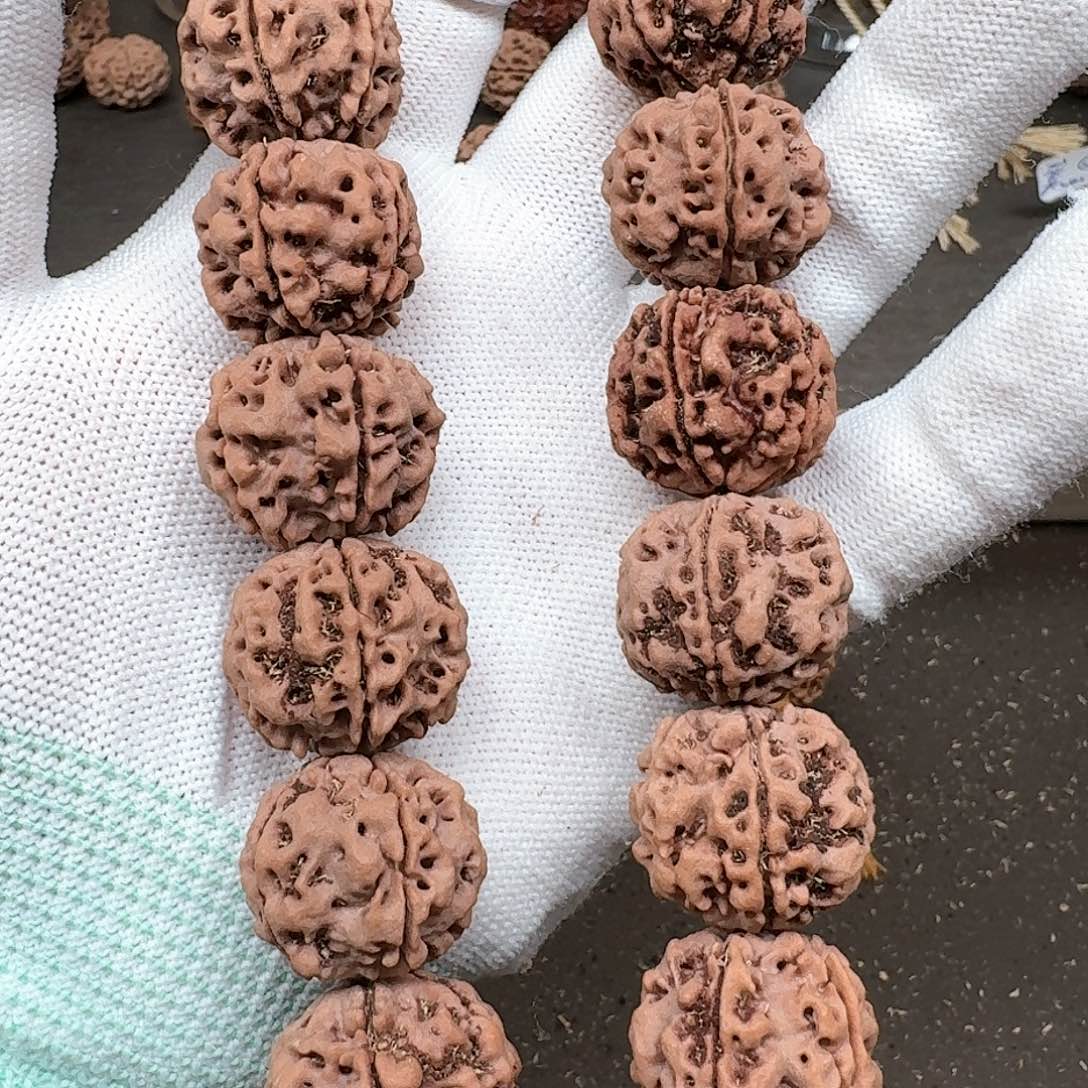 金刚菩提手串22柴梅花84号