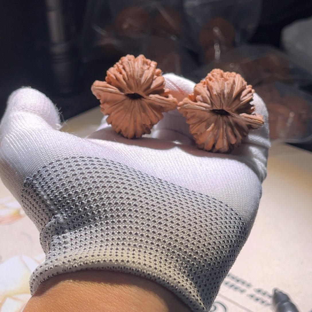 梁***墨楼子楼子楼子楼子 