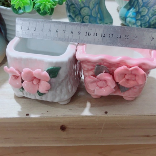 红陶11111111111111111