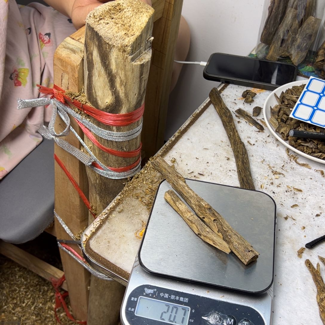 线香奇楠虫漏香20克