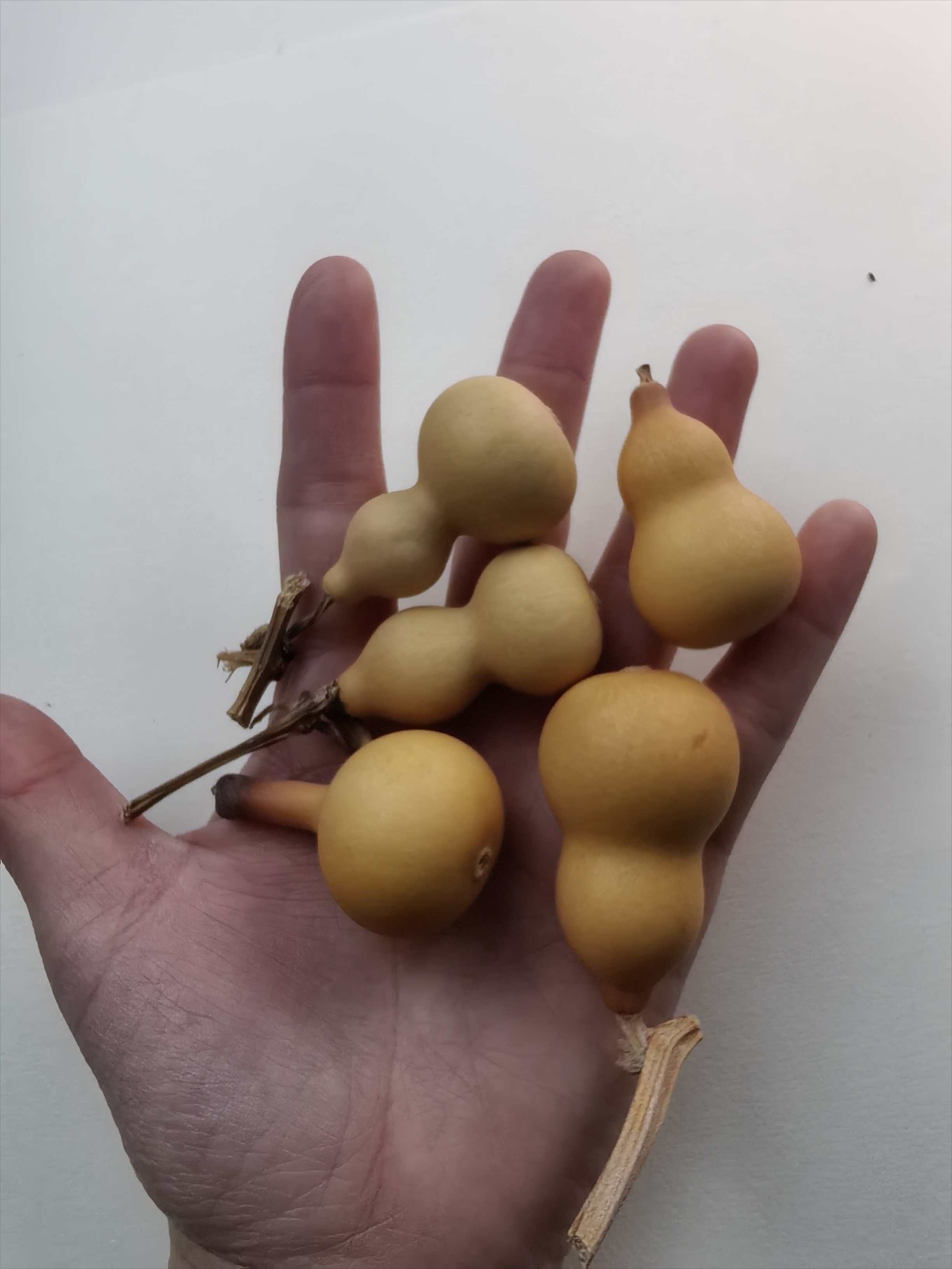 直播间改价专用链接