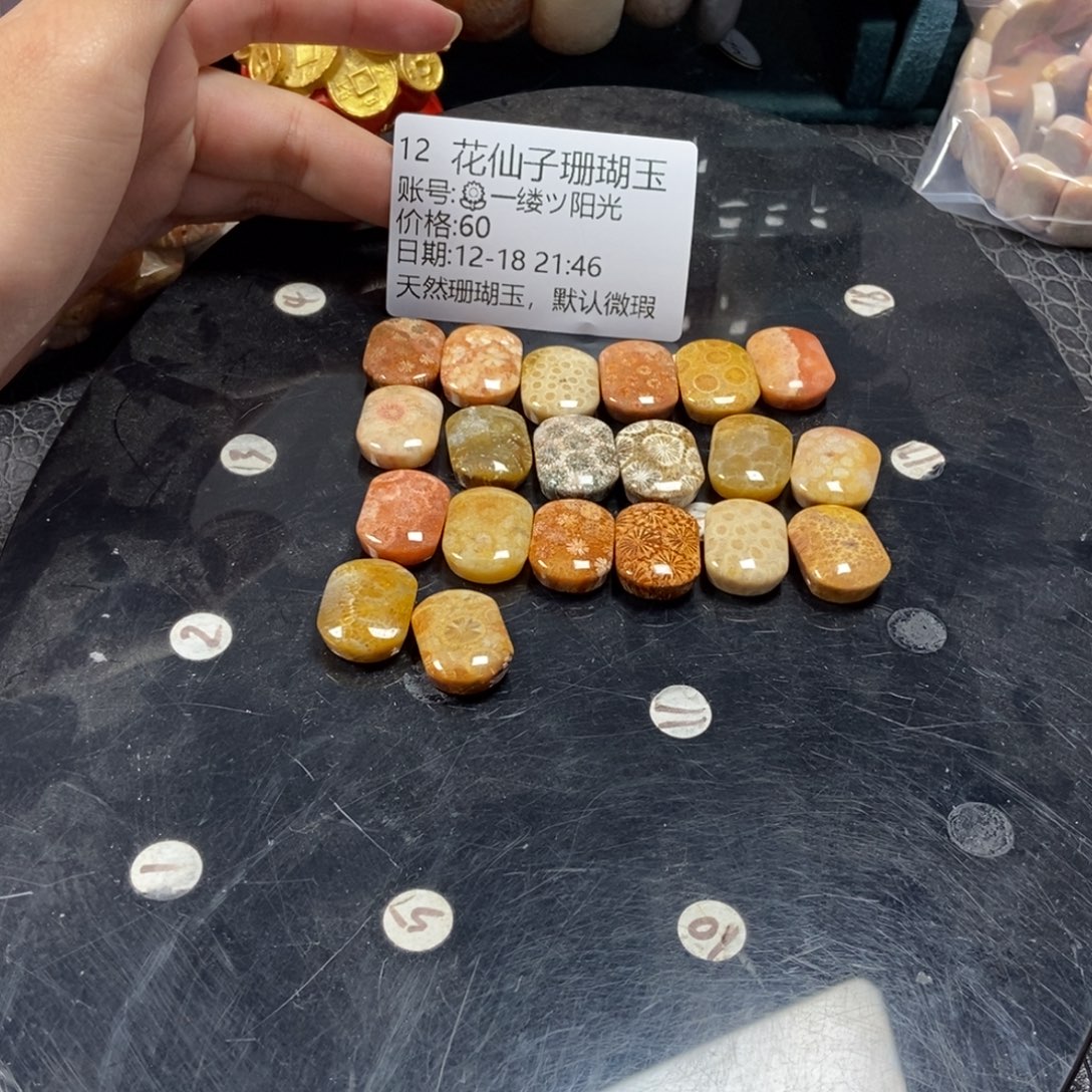 ****光硅化珊瑚（珊瑚玉）未镶嵌珠宝半成品12