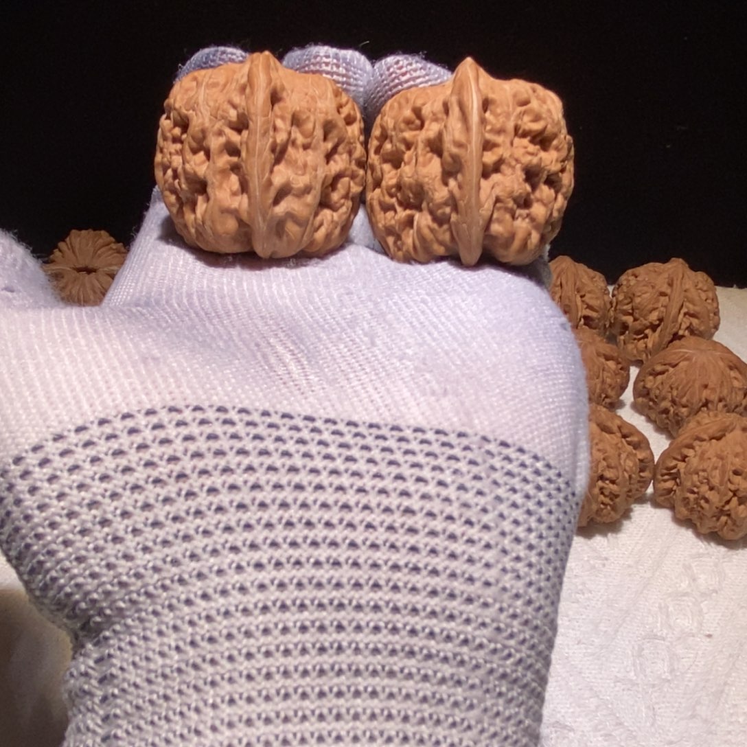 极品西北将军，37+