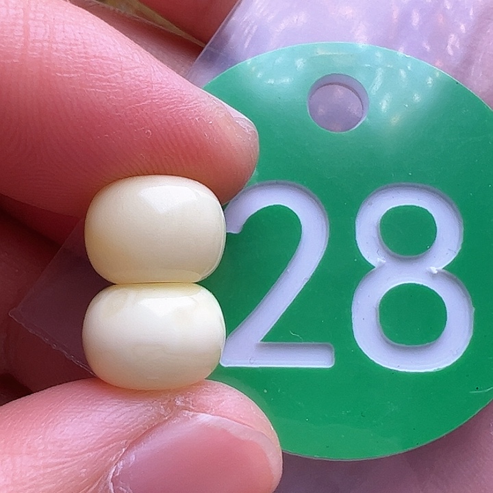 未镶嵌蜜蜡裸石9.7m m