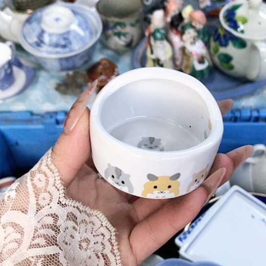 【闪购商品】瓷片瓷片瓷片瓷片