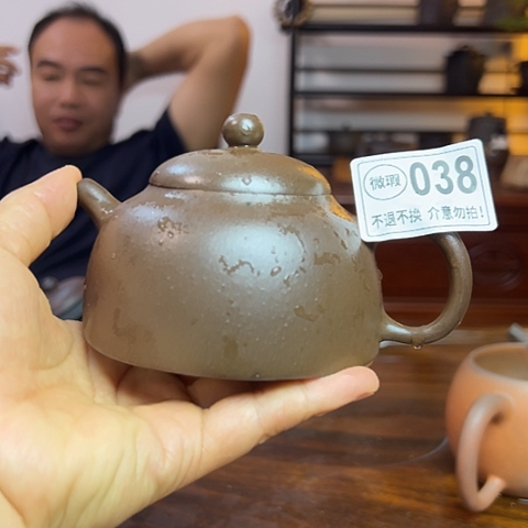 戬谷龙窑柴烧茶壶038