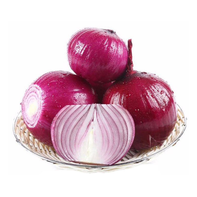 新疆大田地紫皮洋葱5斤