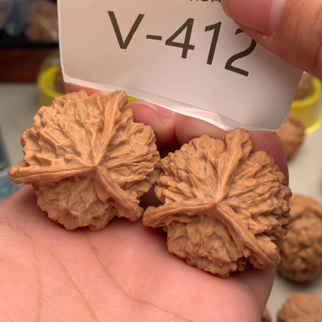 文玩核桃把件38正奔…………..