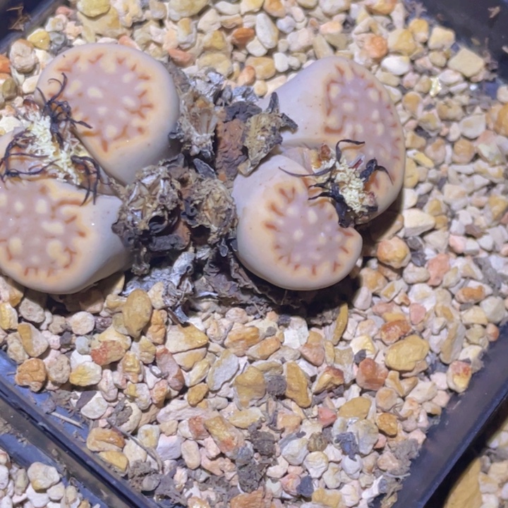 458888888888898888888888