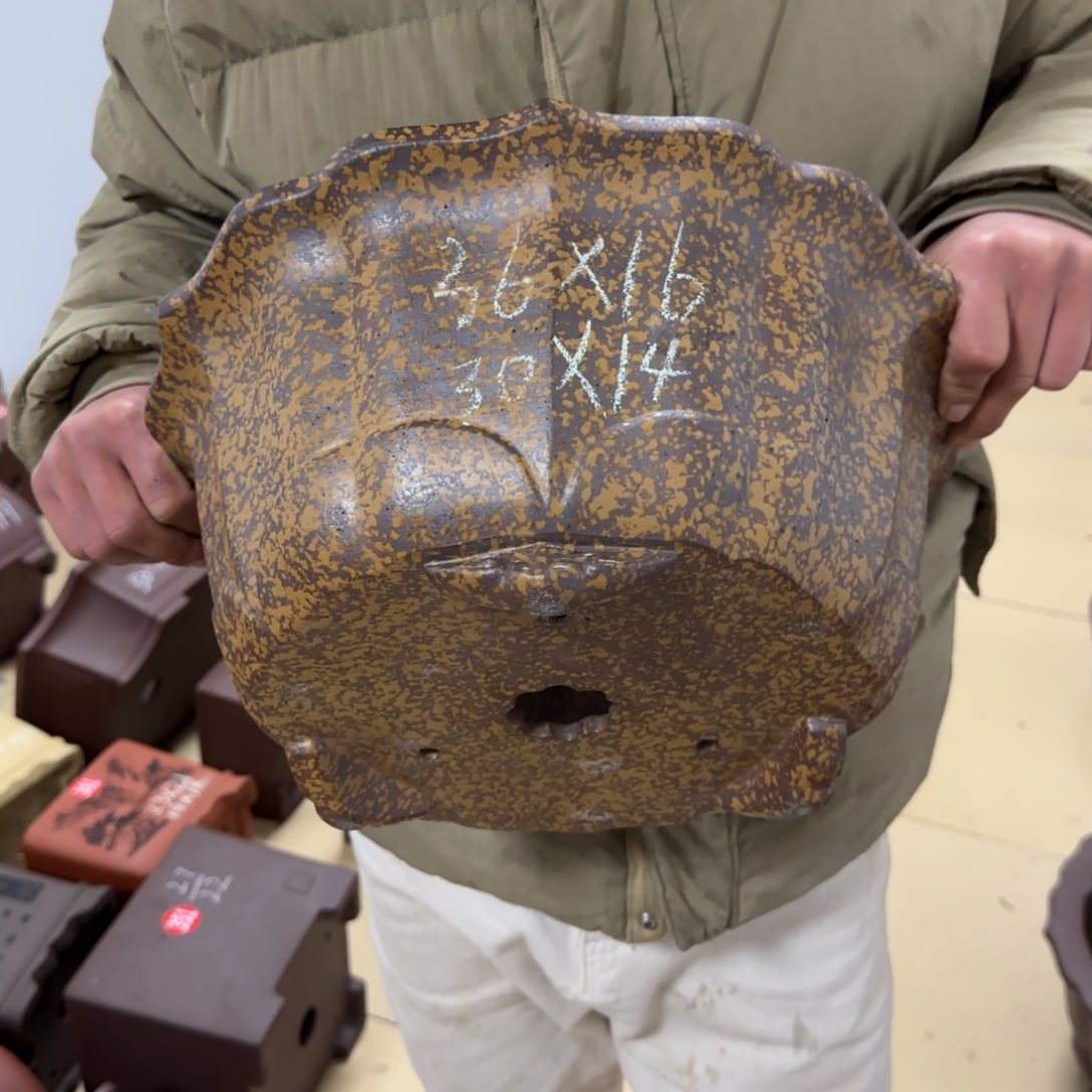 紫砂花盆呜呜呜呜