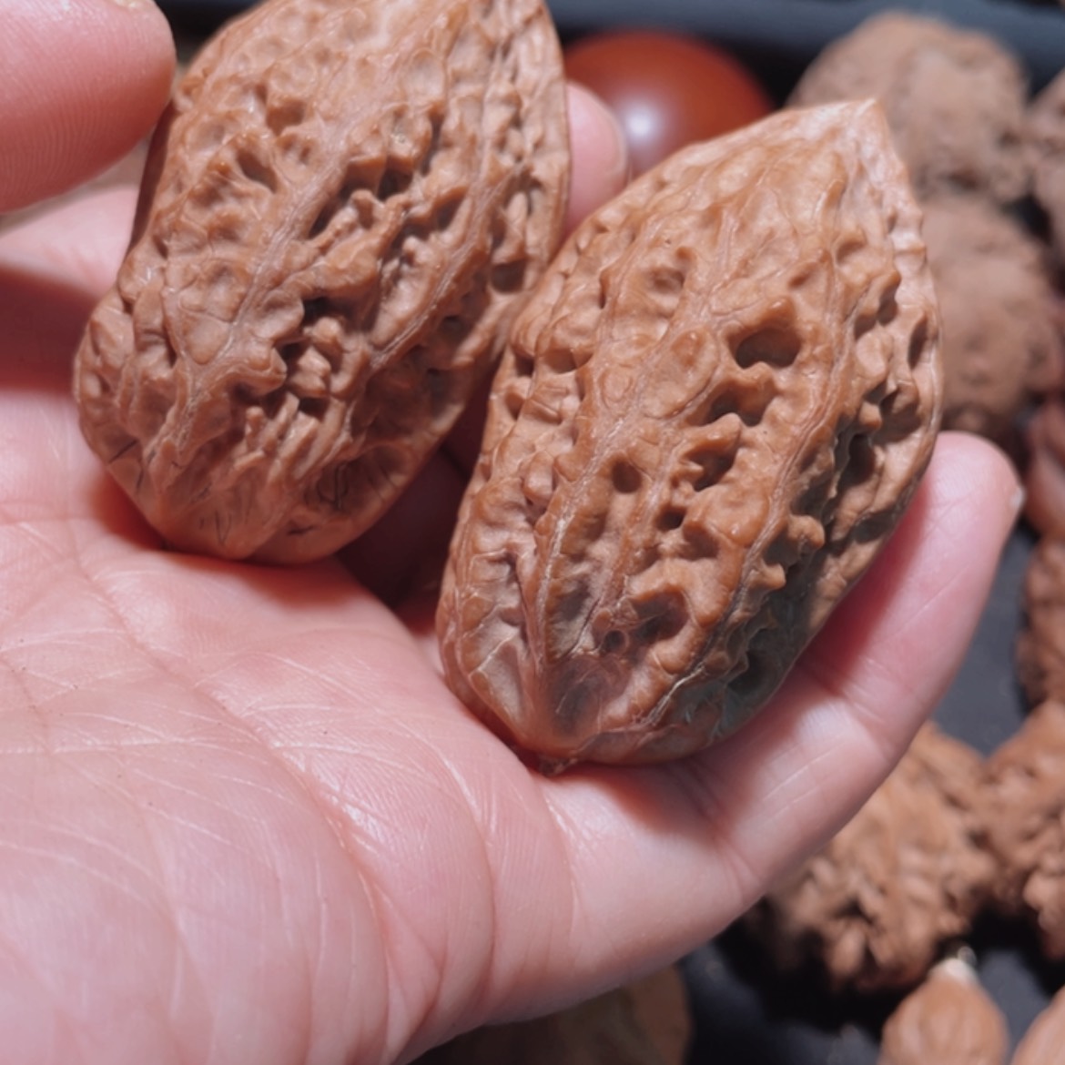 【闪购商品】把件文玩核桃东北楸子3