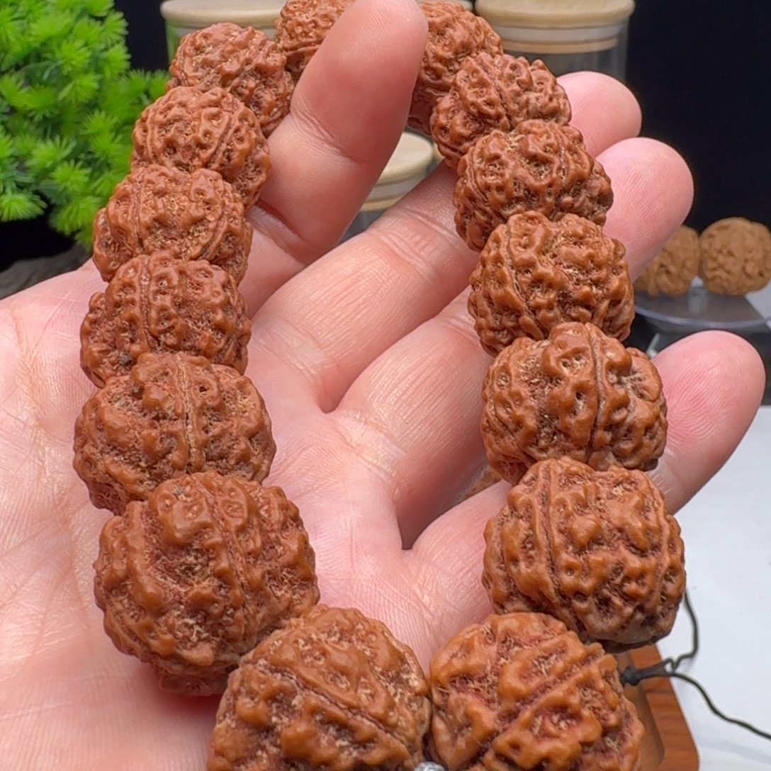 手串金刚菩提梁粗筋双龙