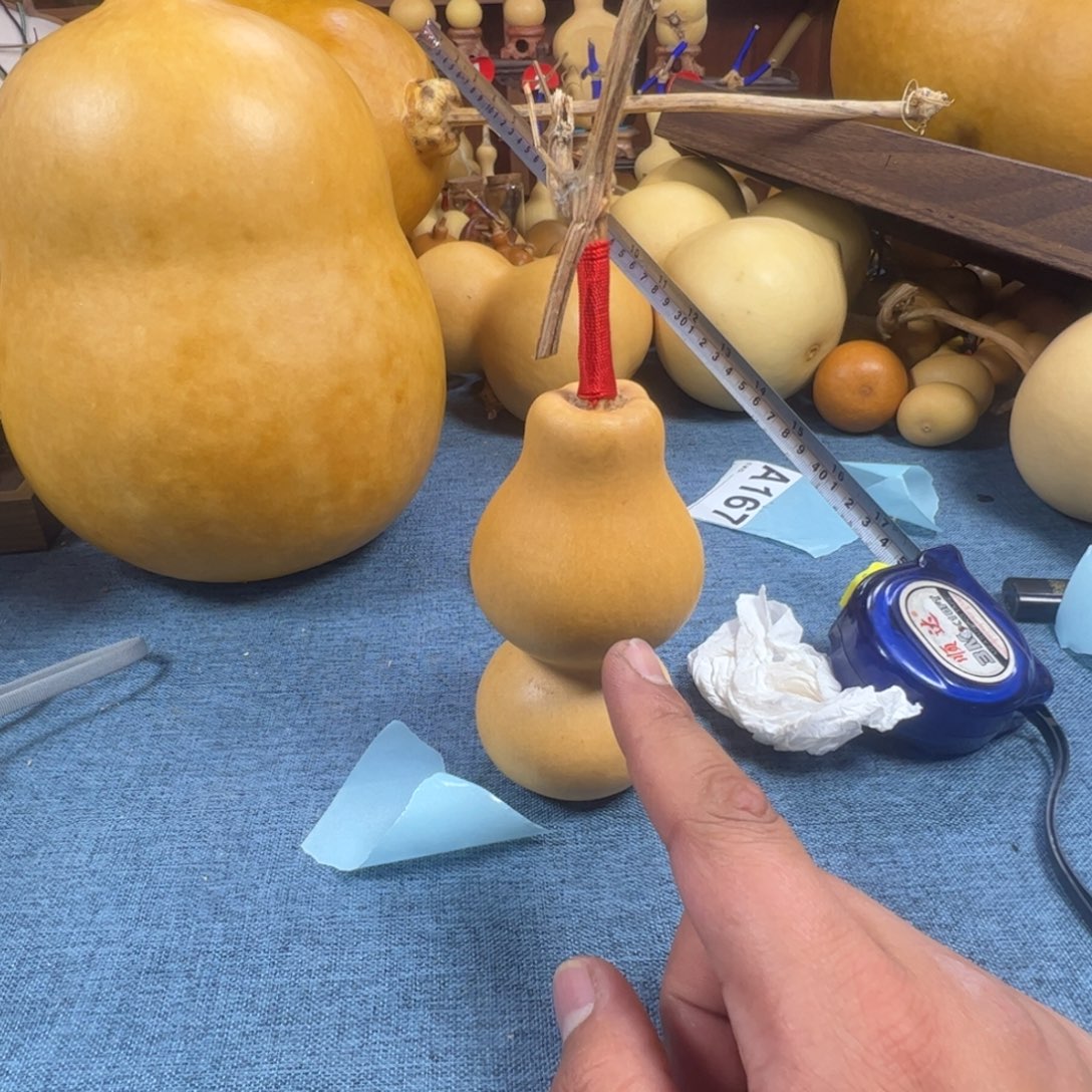 大***海葫芦葫芦葫芦葫芦