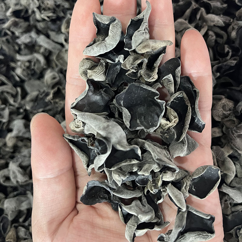 木耳山货土货 农家干木耳