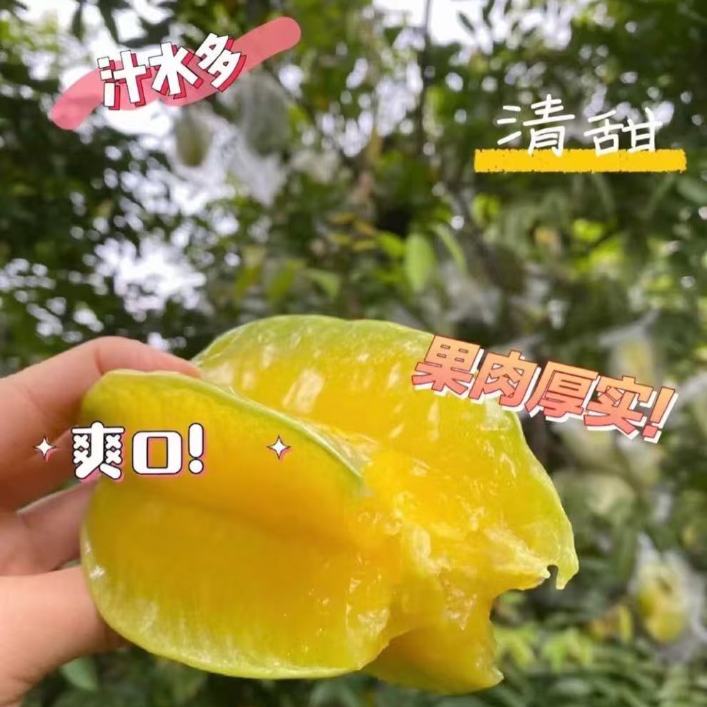 甜蜜星杨桃3.5斤毛重，天上星，人间果，树熟杨桃清甜不涩口的树熟杨桃哟！