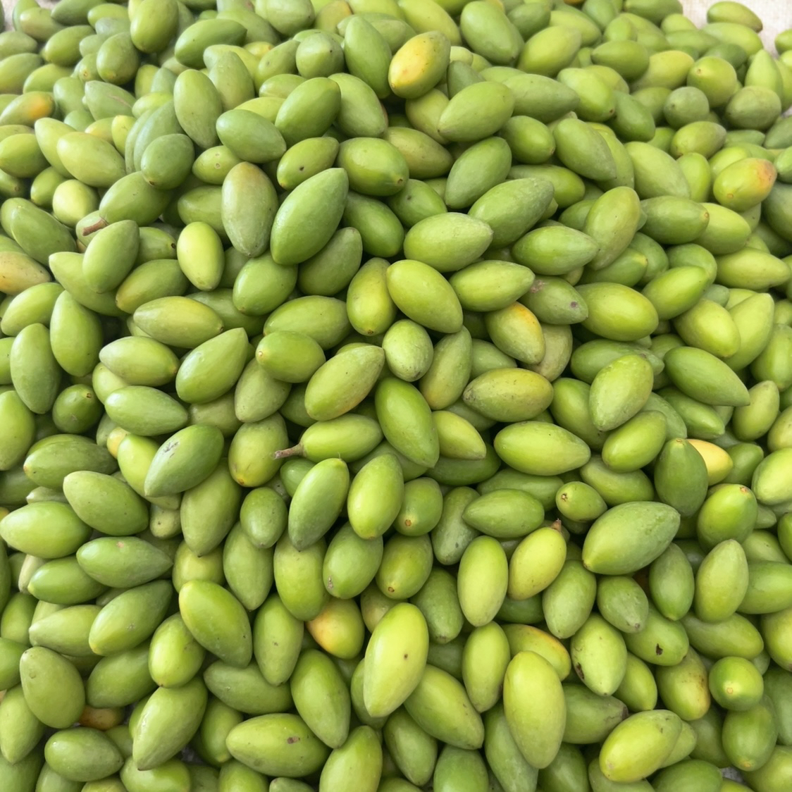 潮之惠潮汕正宗青枣脆青橄榄橄榄清香脆特色酥脆生吃原味香500g起