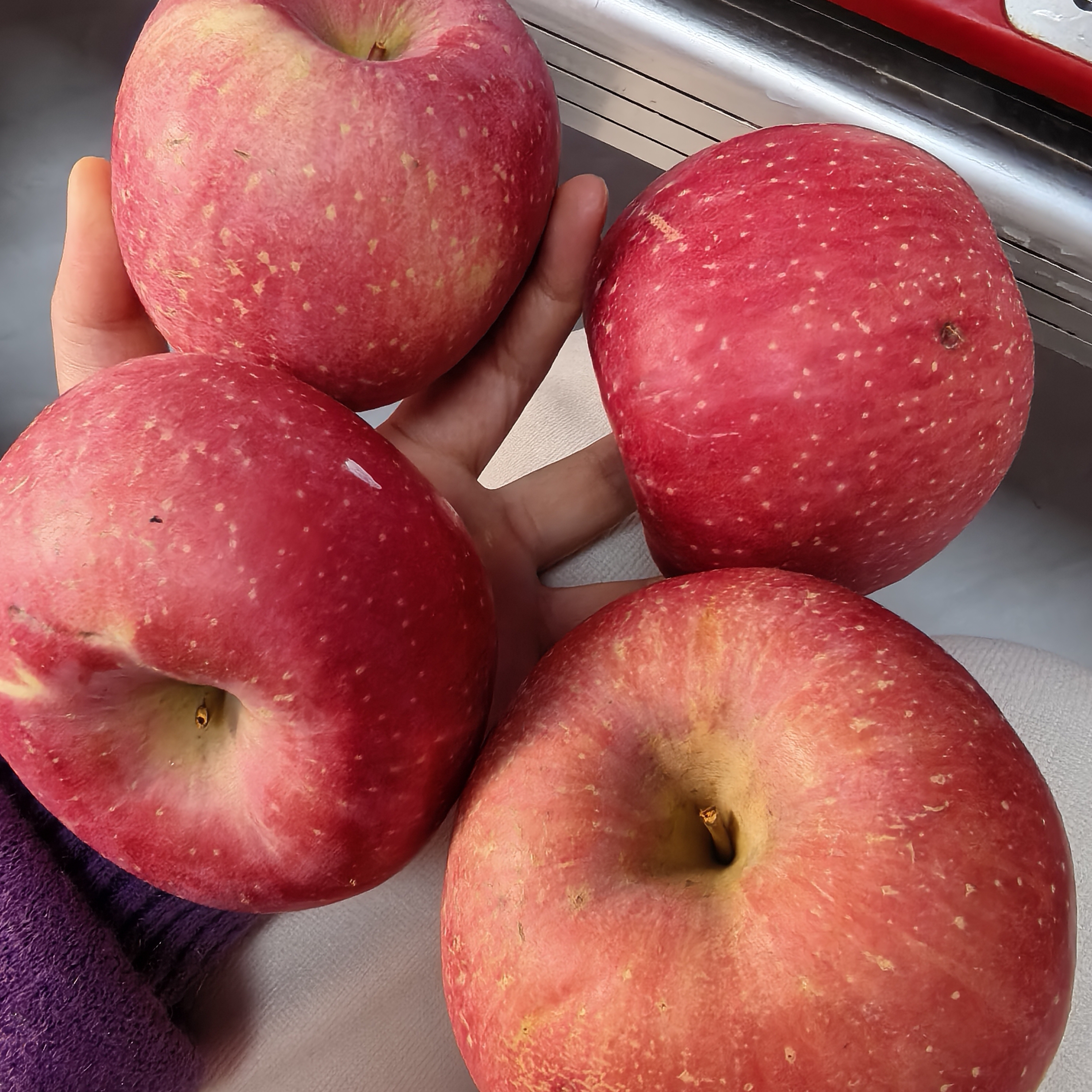 瑕疵果(吉县红富士苹果)