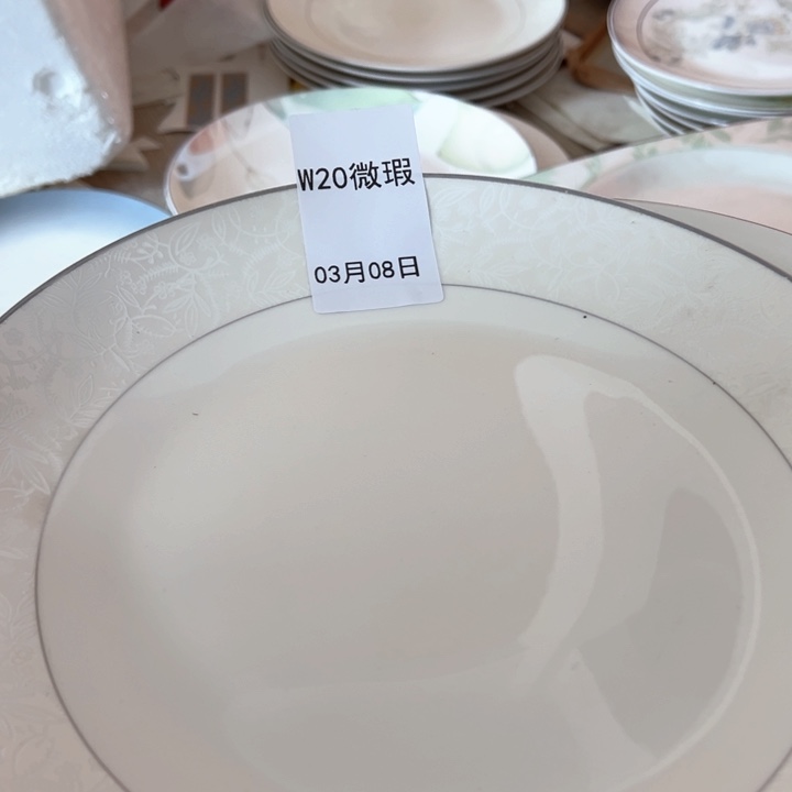 w20十英寸盘子一个