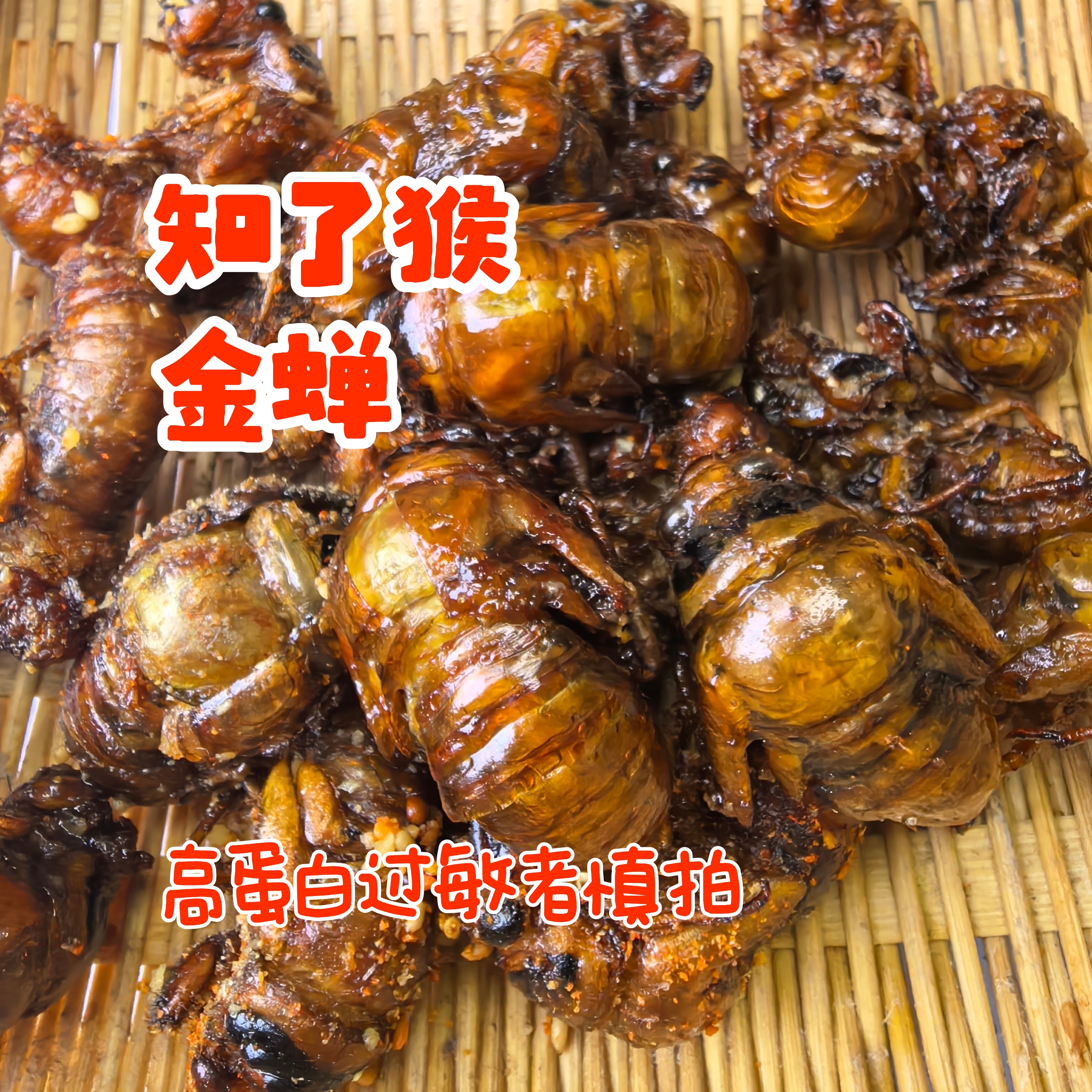 开袋即食山东知了猴金蝉爬叉大个3g～5g味道鲜美追剧零食