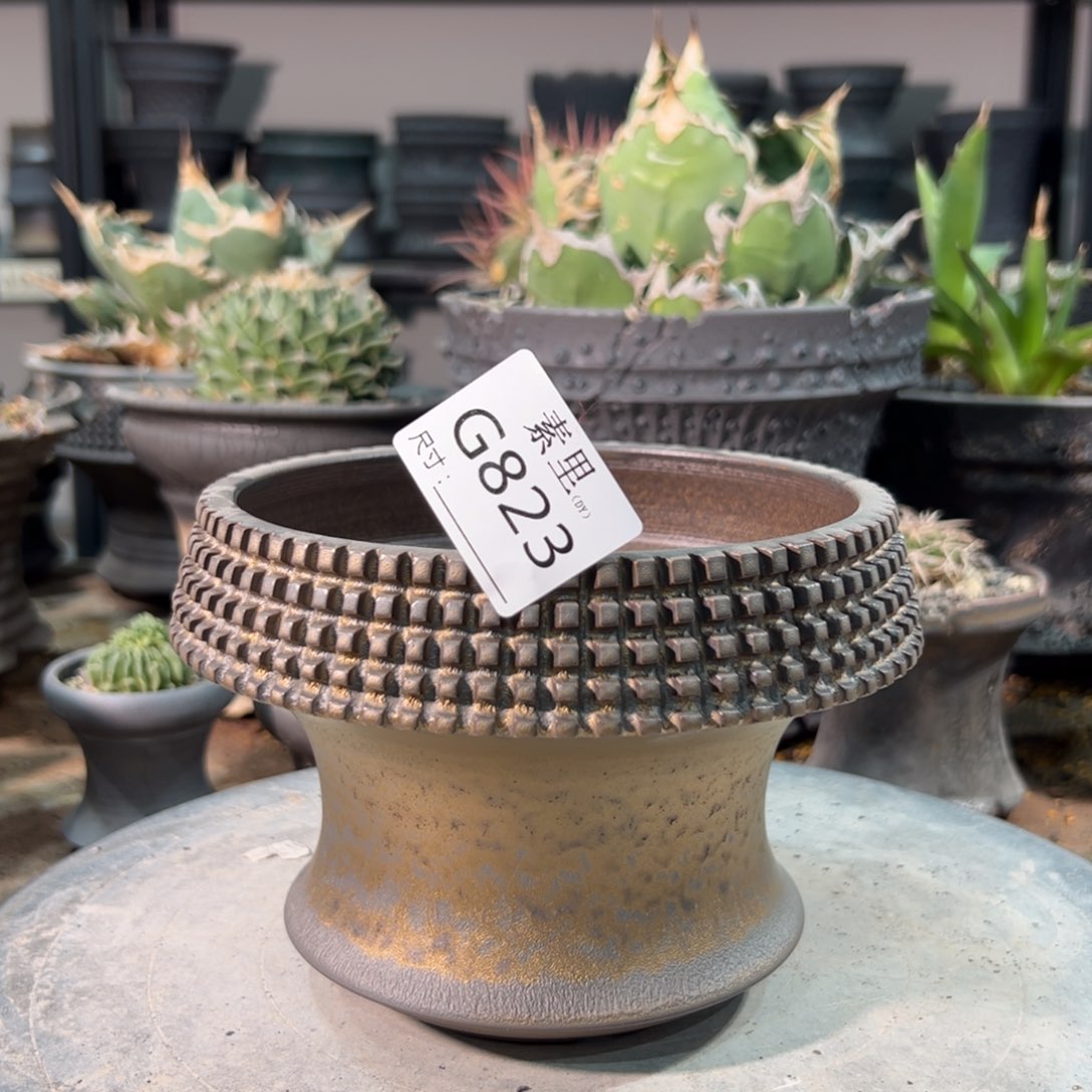 景德镇手工素里内口13.5高11