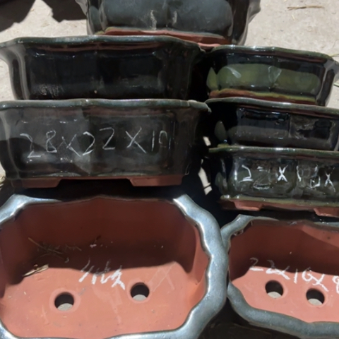 100-8。    微瑕。     