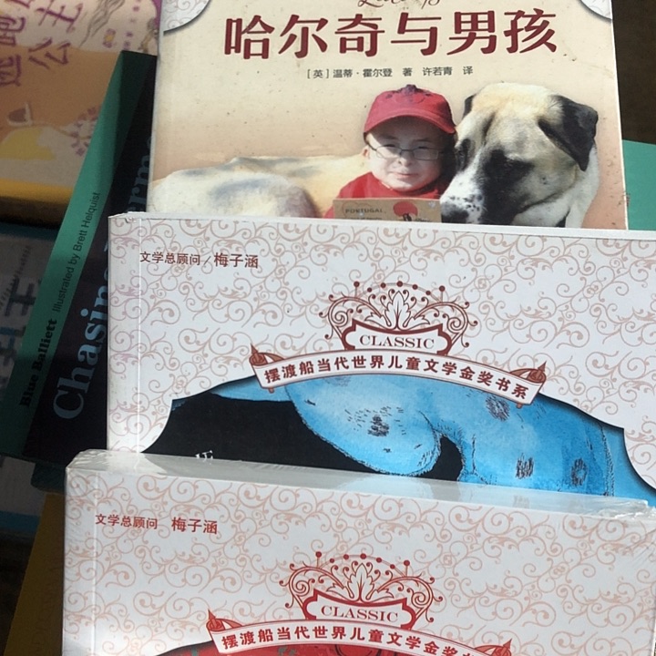 摆渡船当代世界儿童文学4本