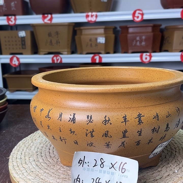 紫砂花盆蛇年大吉