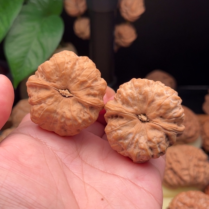 小***锋文玩核桃把件哈摸头