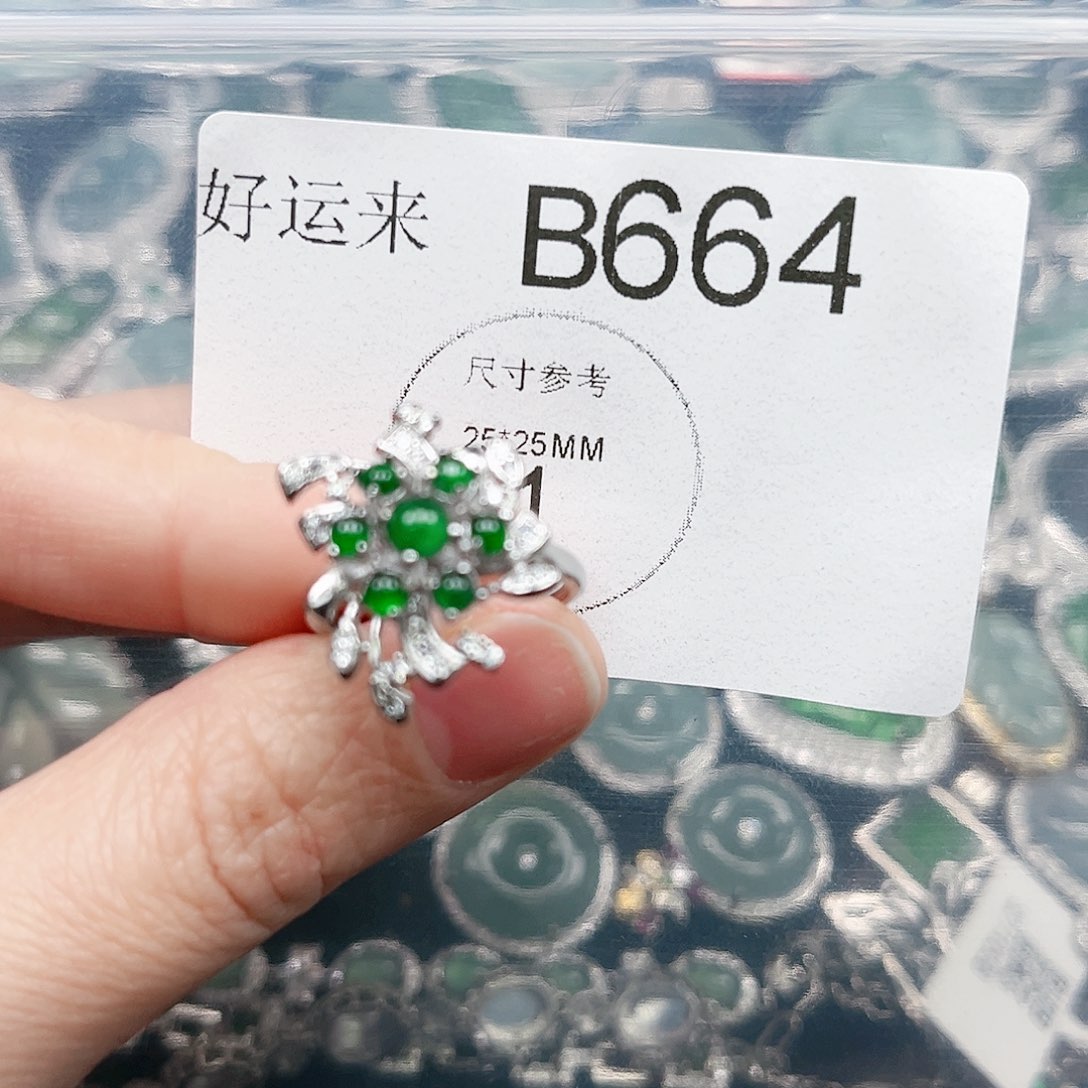 翡翠颈饰未镶嵌翡翠664